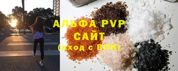СК Белокуриха