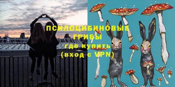 СК Белокуриха