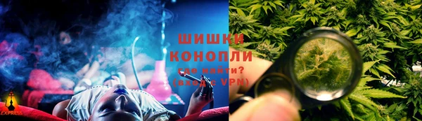 крисы Новокубанск