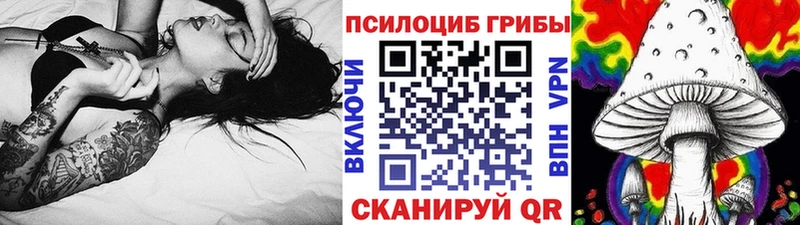 дарнет шоп Олёкминск маркетплейс какой сайт Галлюциногенные грибы ЛСД